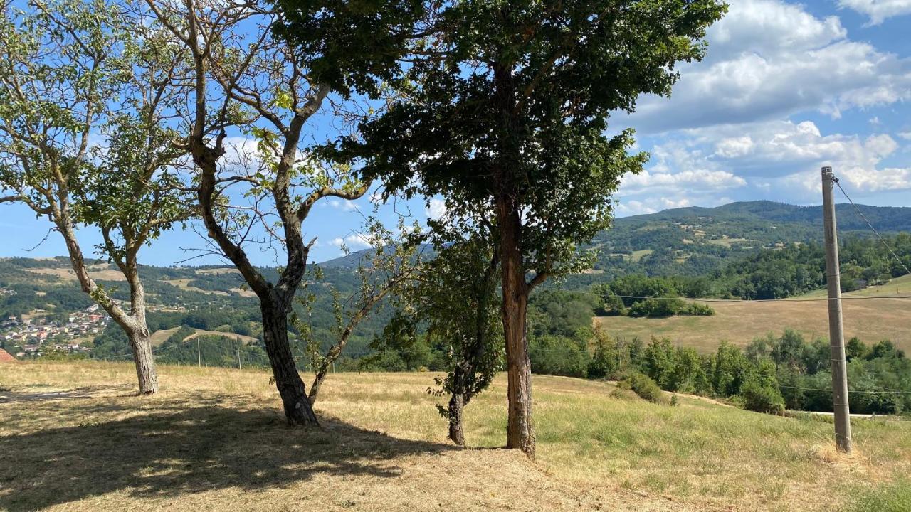Agriturismo Il Casone San Benedetto Val di Sambro エクステリア 写真